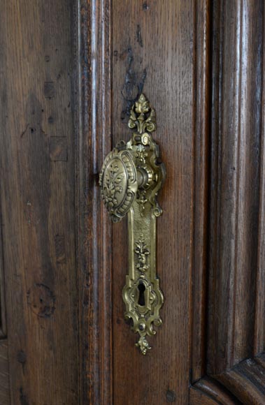 Double door in carved oak in Napoleon III style-6