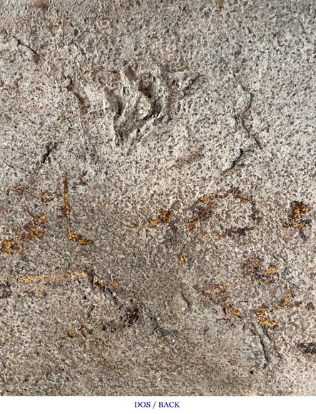 Phoenix-shaped fireplace plaque, decorated with scrolls-9