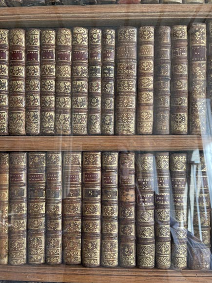 Napoleon III Library Boiserie-11