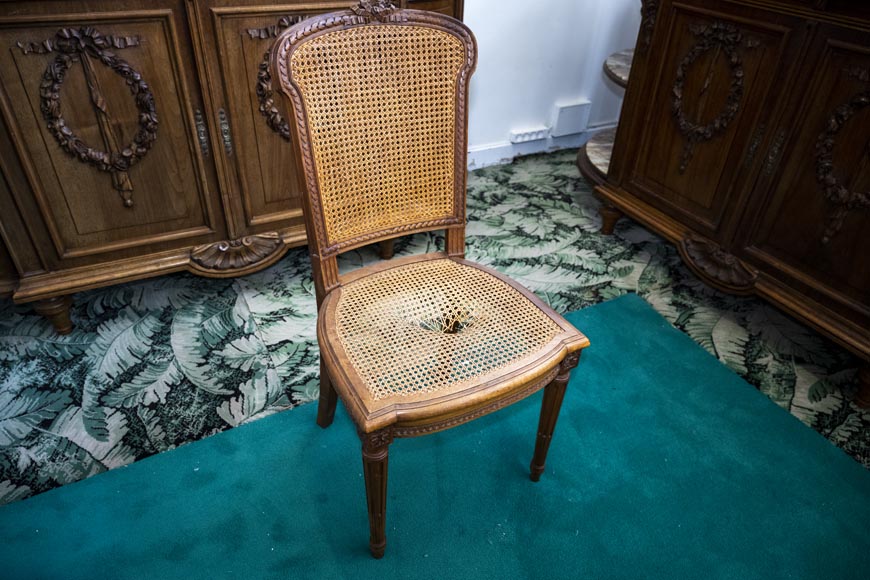 Louis XVI style dining room carved in walnut wood-7