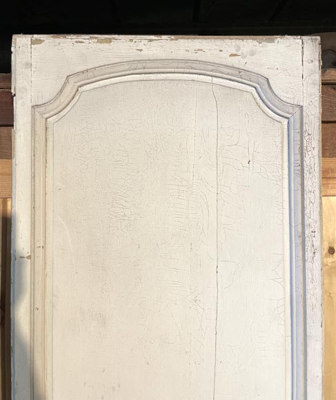 Moulded painted wood door-2