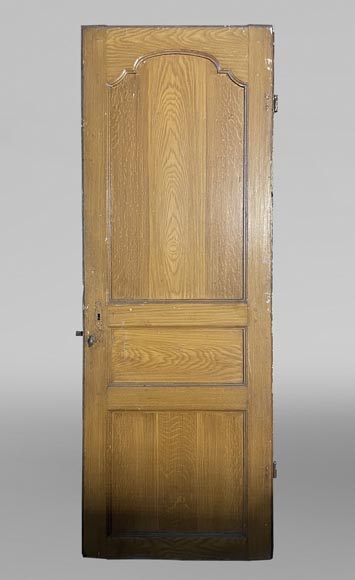 Molded door in resinous wood, painted in oak imitation-0