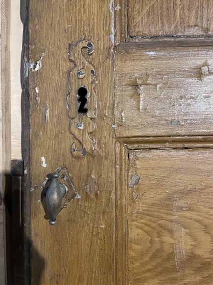 Molded door in resinous wood, painted in oak imitation-3