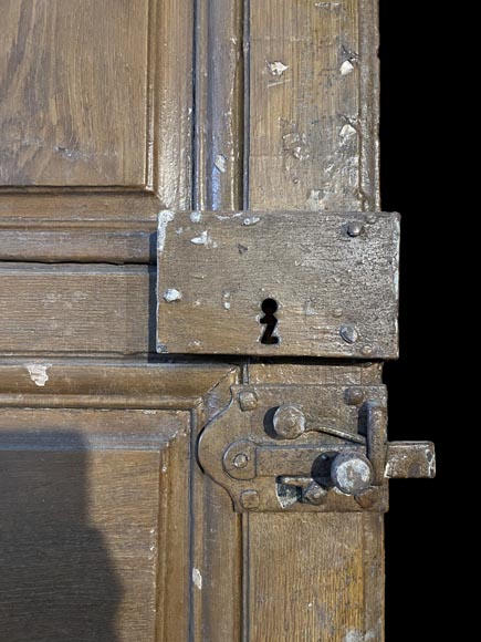 Molded door in resinous wood, painted in oak imitation-6