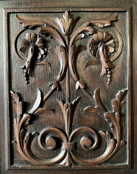 Monumental Napoleon III Carved Oak Glazed Double Door - Renaissance Style-12