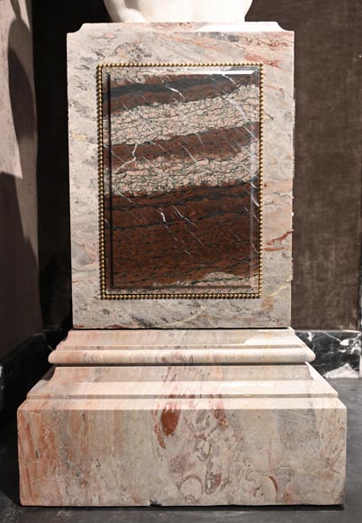 Pair of pedestals in Sarrancolin and Campan marbles-2