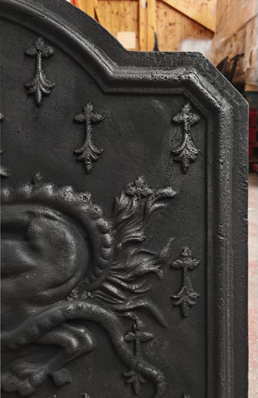 Fireplace plaque with the salamander motif of Francis Ist-1