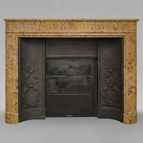 Antique Louis XVI style fireplace in Breccia Saint-Antonin marble