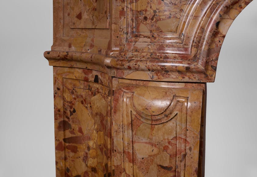 Rare antique Regence period fireplace in Aleppo Breccia marble with its original cast iron insert-4