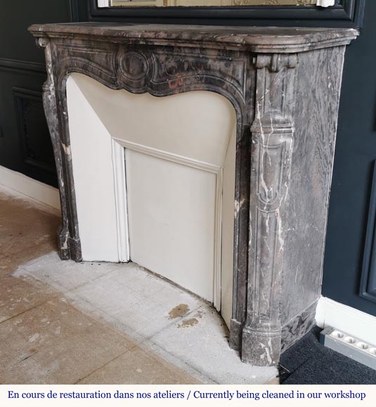 Beautiful Pompadour fireplace made of Bois Jourdan marble-5