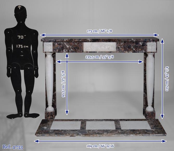 Neo Louis XVI style fireplace in imperator and statuary marble-11