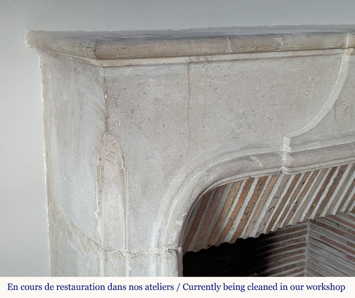 Small Burgundian-style fireplace carved in stone-3