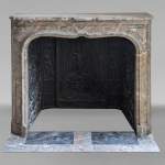 Small Regence period mantel in Sarrancolin Ilhet marble