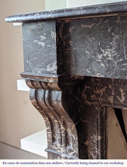 Napoleon III style mantel in Sainte Anne Gris marble-4