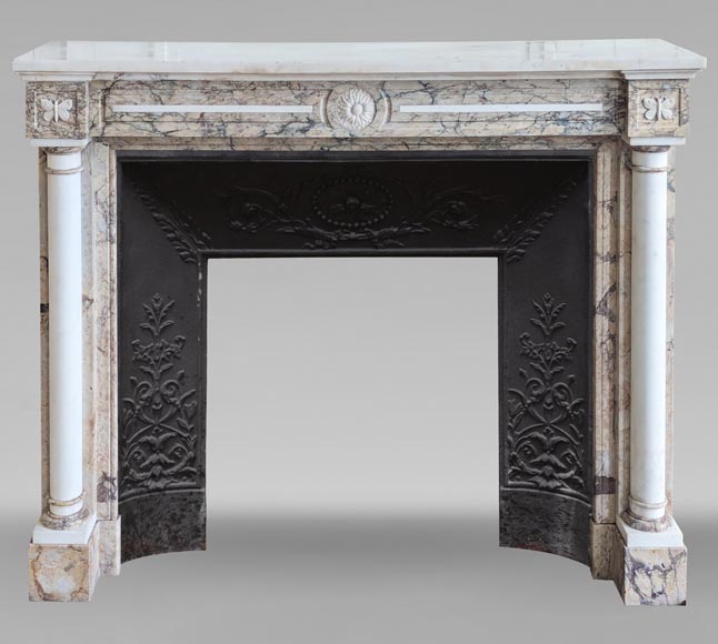 Two-tone Directoire style marble mantel decorated with butterflies-0