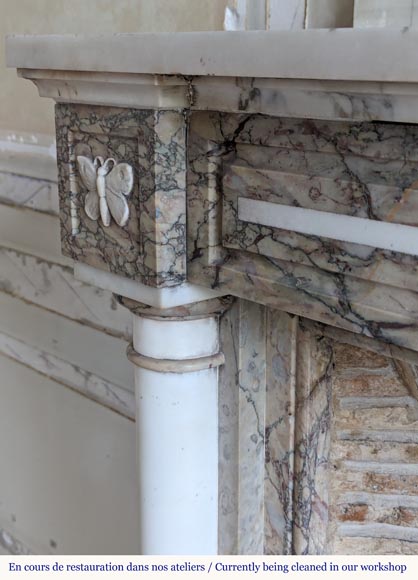 Two-tone Directoire style marble mantel decorated with butterflies-4