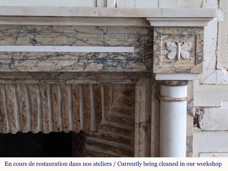 Two-tone Directoire style marble mantel decorated with butterflies-7