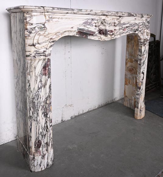 Regency style fireplace decorated with a palmette, in purple breccia marble-3