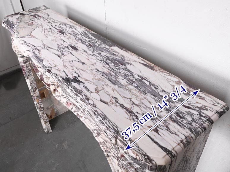 Regency style fireplace decorated with a palmette, in purple breccia marble-9