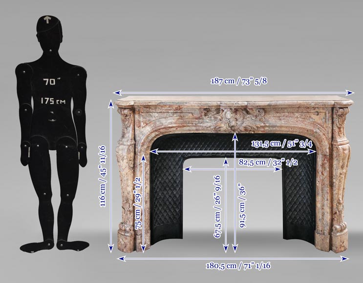 Regency style fireplace, in richly sculpted Sarrancolin marble-13