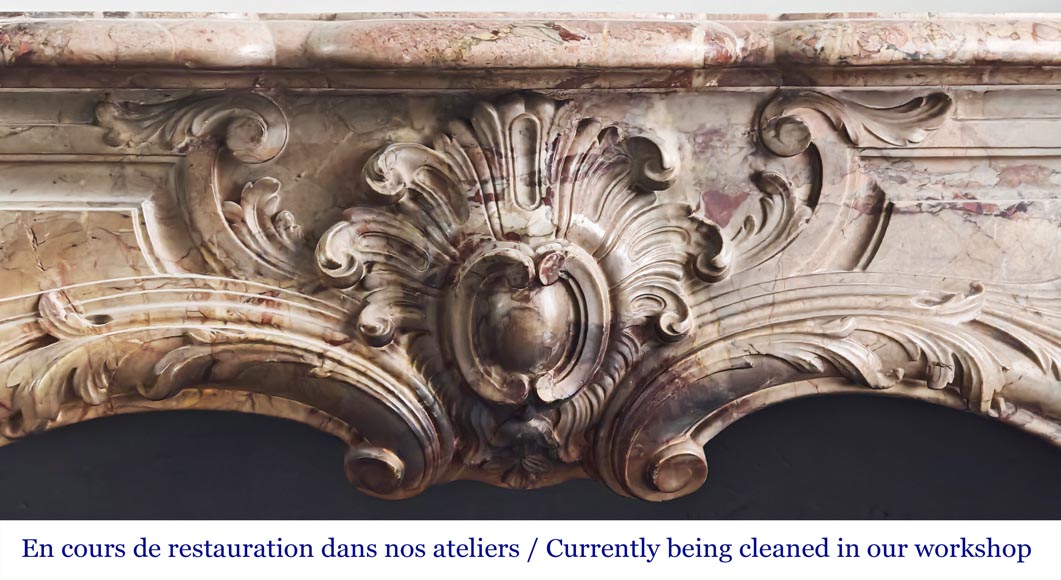 Louis XV style fireplace in highly ornate Sarrancolin marble-1