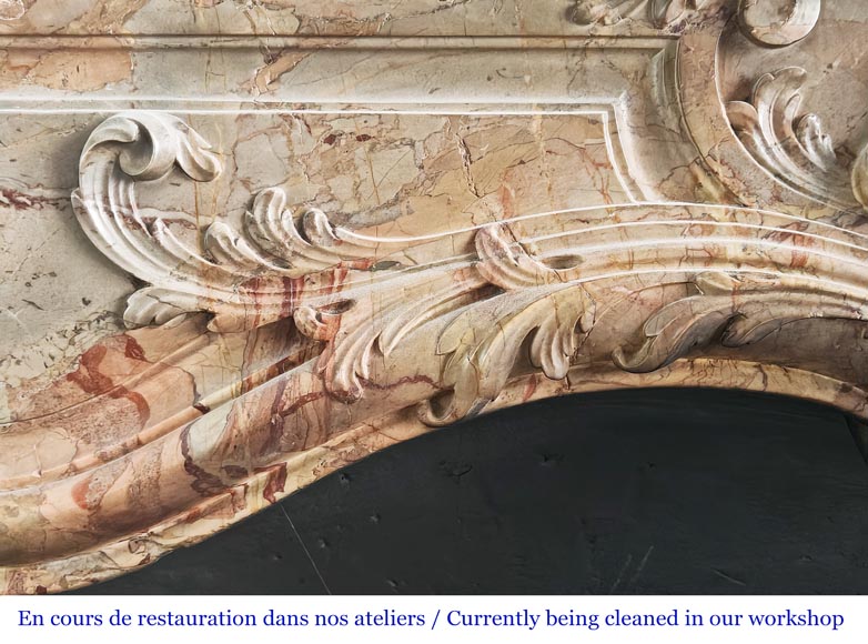 Louis XV style fireplace in highly ornate Sarrancolin marble-3