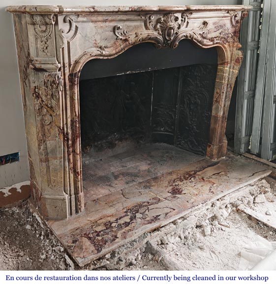 Louis XV style fireplace in highly ornate Sarrancolin marble-4