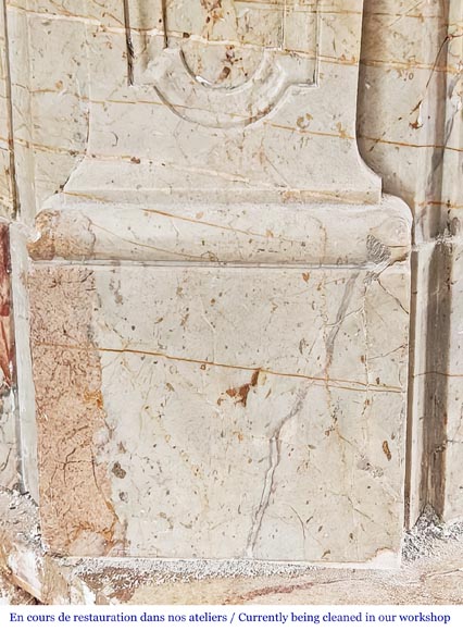 Louis XV style fireplace in highly ornate Sarrancolin marble-7