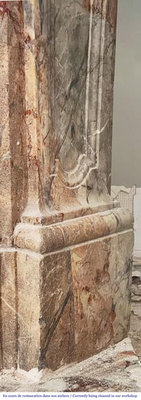 Louis XV style fireplace in highly ornate Sarrancolin marble-10