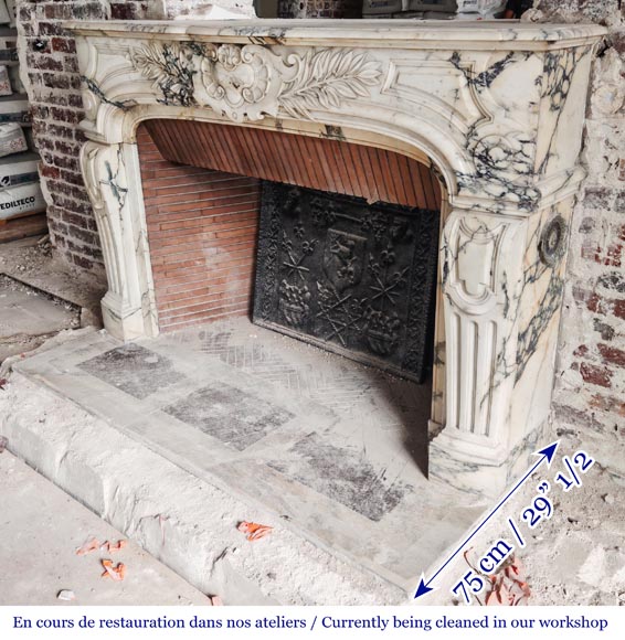 Regency-style Paonazzo marble fireplace, decorated with palm fronds Regency-style Paonazzo marble fireplace, decorated with palm fronds-9