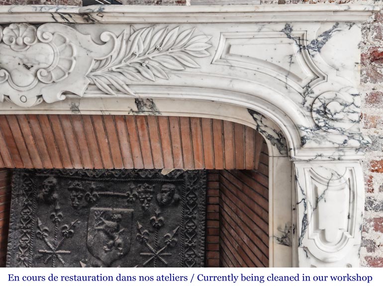 Regency-style Paonazzo marble fireplace, decorated with palm fronds Regency-style Paonazzo marble fireplace, decorated with palm fronds-10